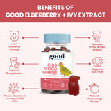 Good Vitamin Gummies Kids Good Elderberry + Ivy Extract (Ills and Chills) 90s