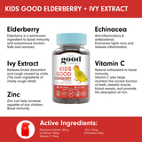 Good Vitamin Gummies Kids Good Elderberry + Ivy Extract (Ills and Chills) 90s